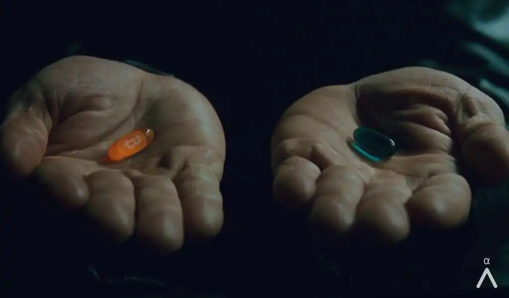 Bitcion Orange Pill The Matrix