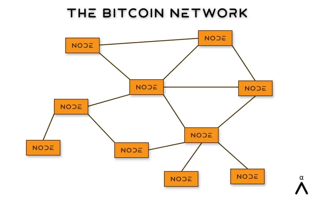The Bitcoin Network