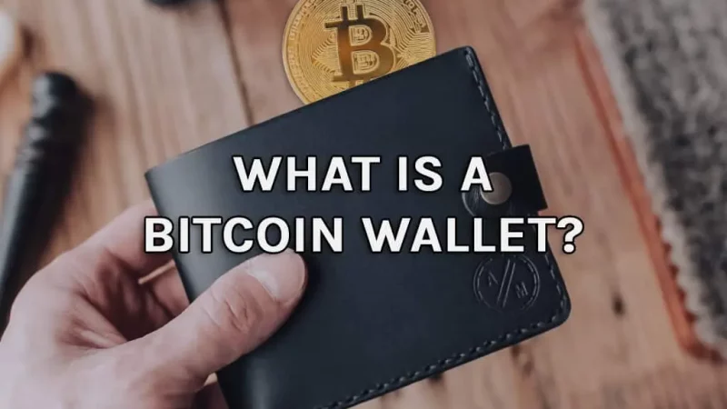 What Is A Bitcoin Wallet? A Guide To Keep Your Funds Safe (2022)