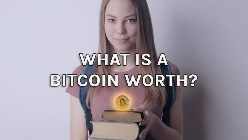 What Is A Bitcoin Worth? The Perfect Money (2022)