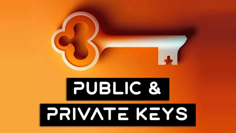What Are Public And Private Keys? (2023)