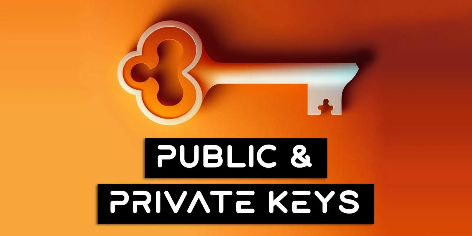 What Are Public And Private Keys