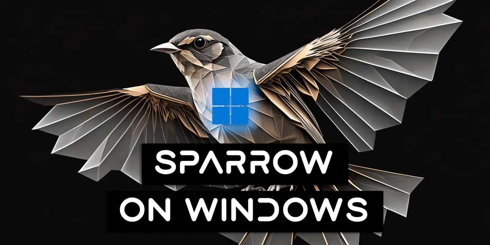 Install Sparrow Wallet On Windows