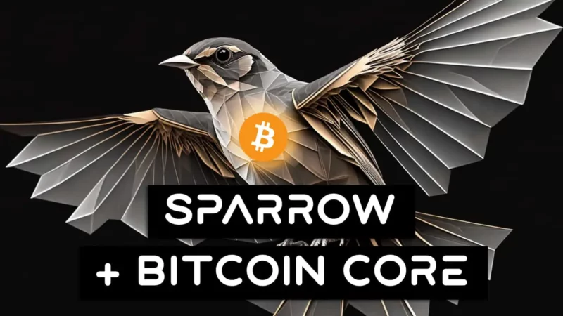 How To Connect Sparrow Wallet To Bitcoin Core And Hugely Improve Your Privacy (2023)