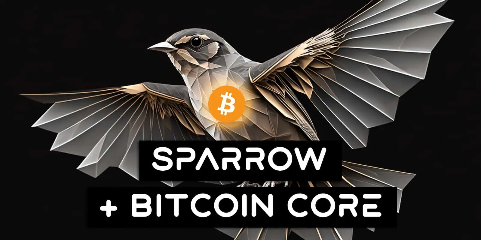 Connect Sparrow Wallet To Bitcoin Core