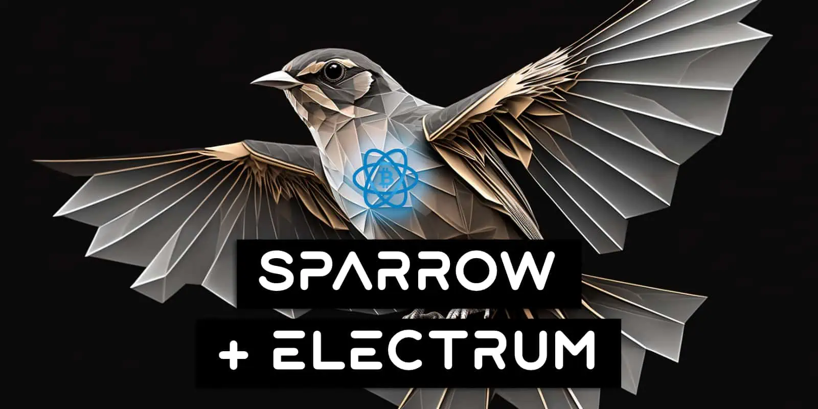 Connect Sparrow Wallet To Electrum