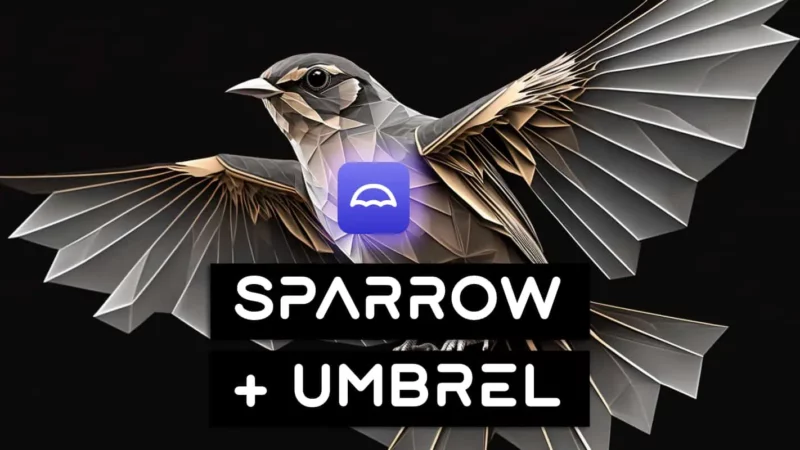 How To Connect Sparrow Wallet To Umbrel And Hugely Improve Your Privacy (2023)