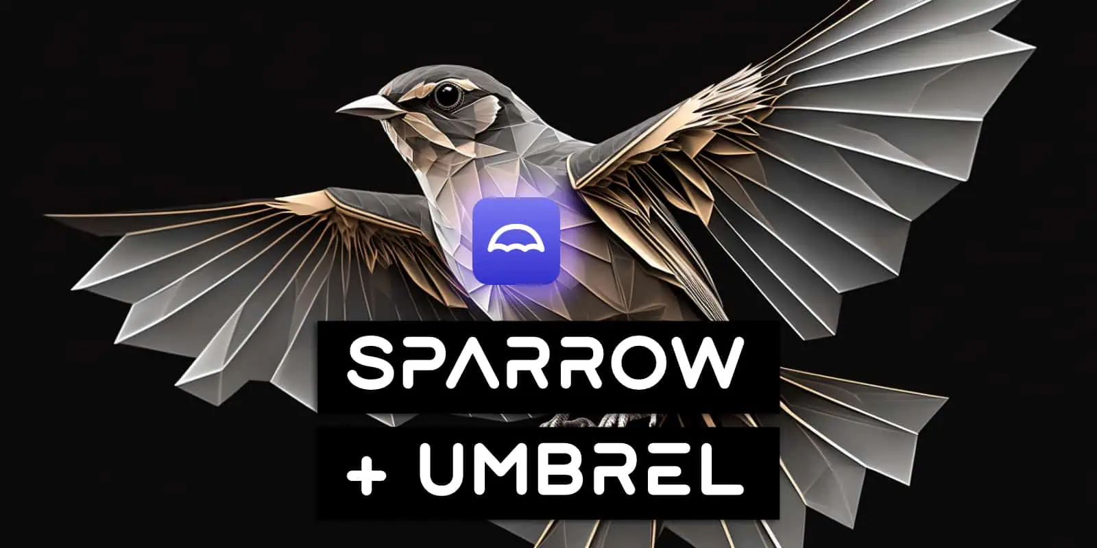 Connect Sparrow Wallet To Umbrel