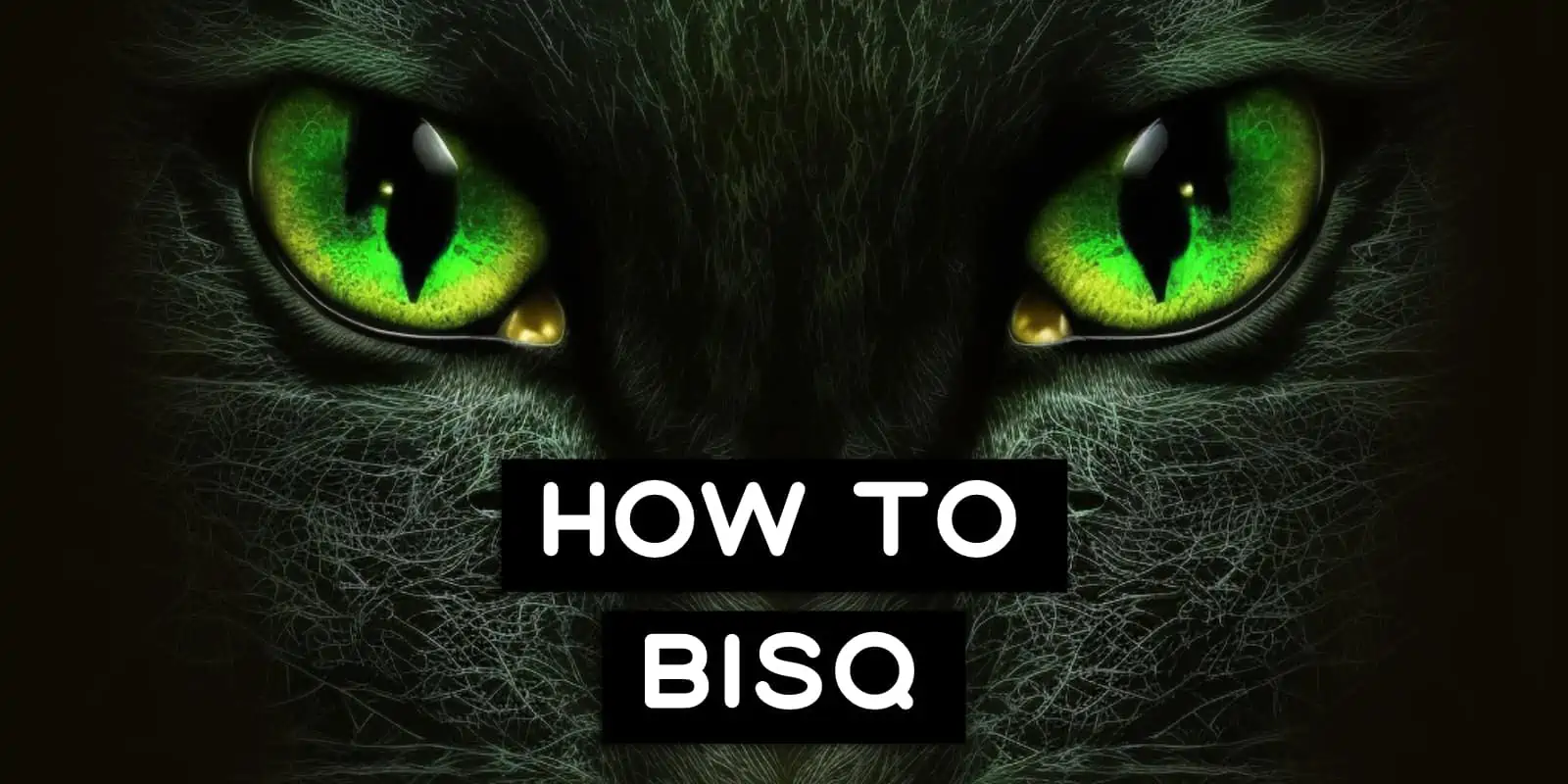 How To Buy Bitcoin On Bisq