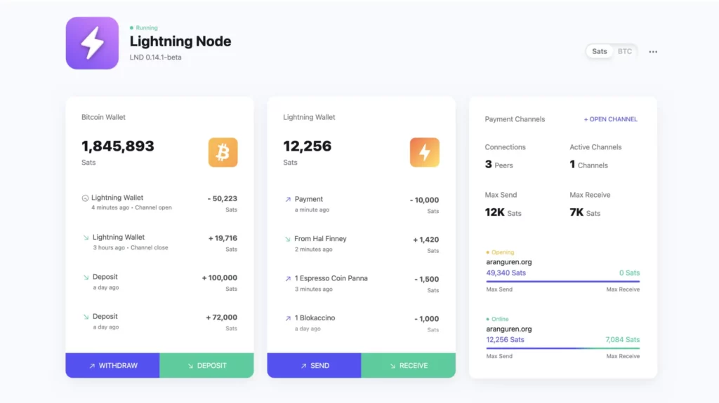 Umbrel Lightning Node Example