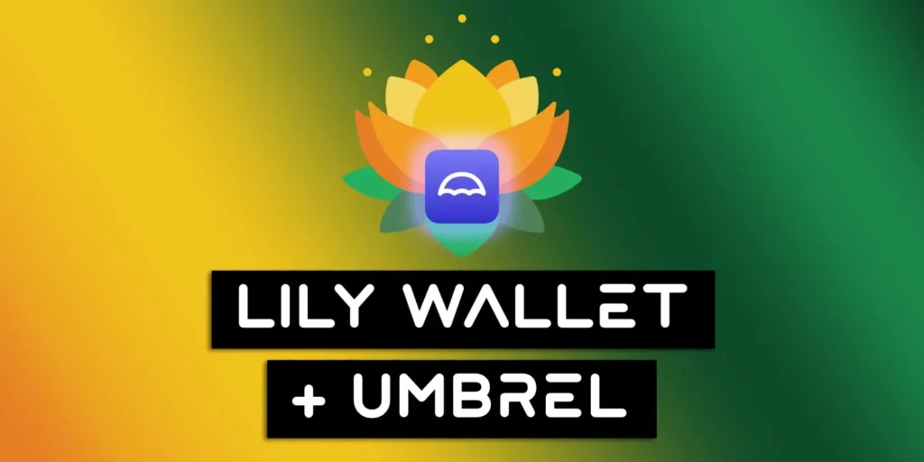 Connect Lily Wallet To Umbrel