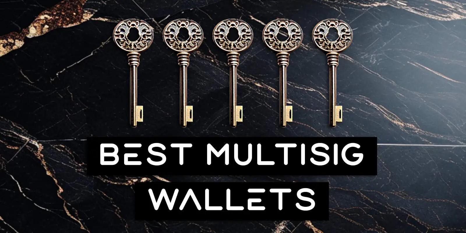 Best Multisig Wallet