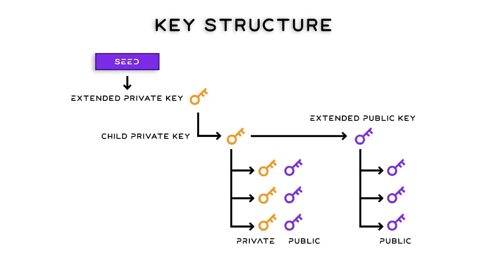 Private-And-Public-Key-Structure